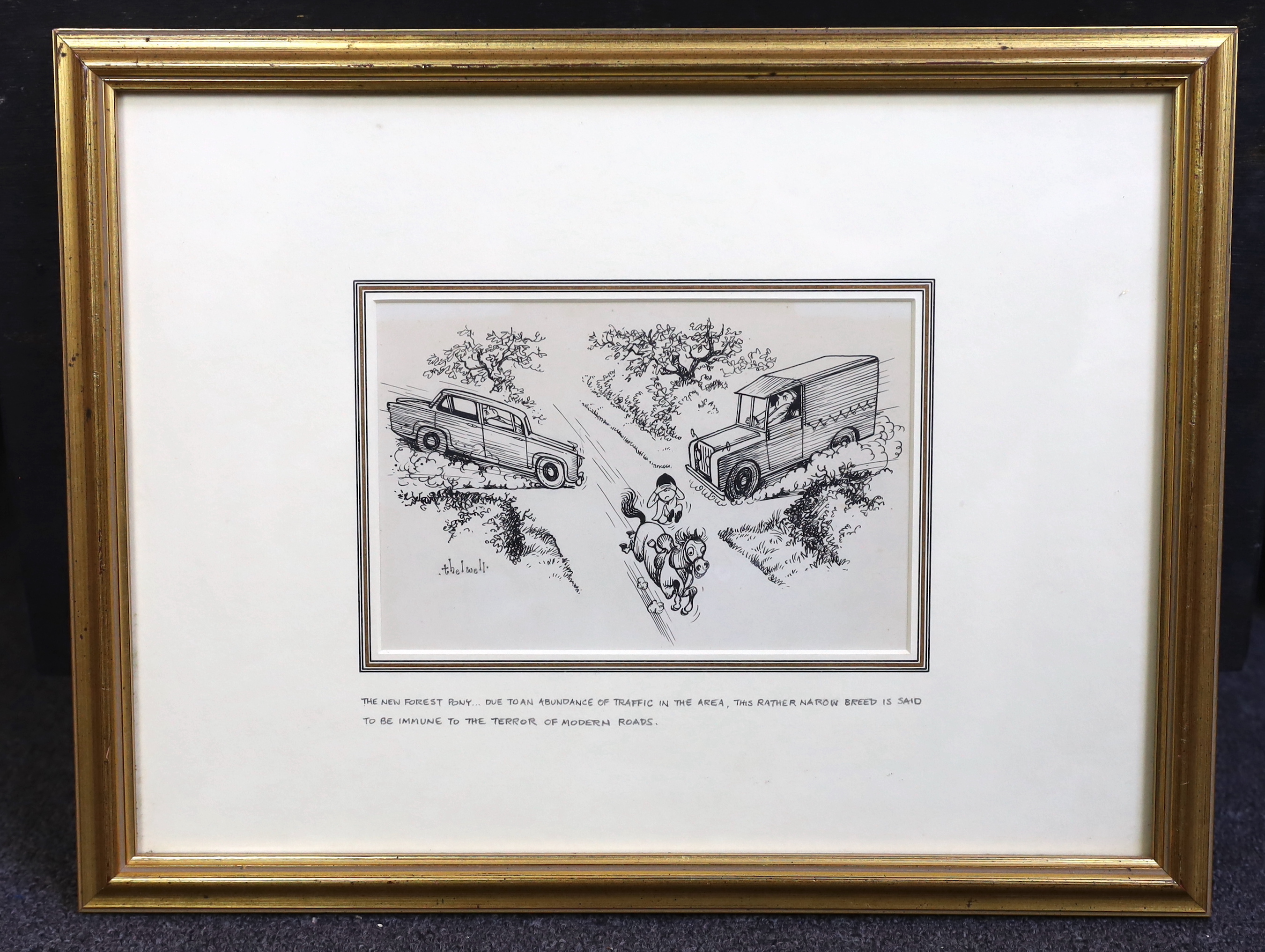 Norman Thelwell (English, 1923-2004), 'The New Forest Pony: Due an abundance of traffic in the area - this rather narrow breed is said to be immune to the terror of modern roads', pen and ink, 13 x 20cm